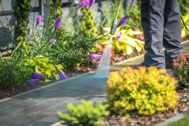 Best Soft Washing for Delicate Surfaces in Shelbyvle, IL