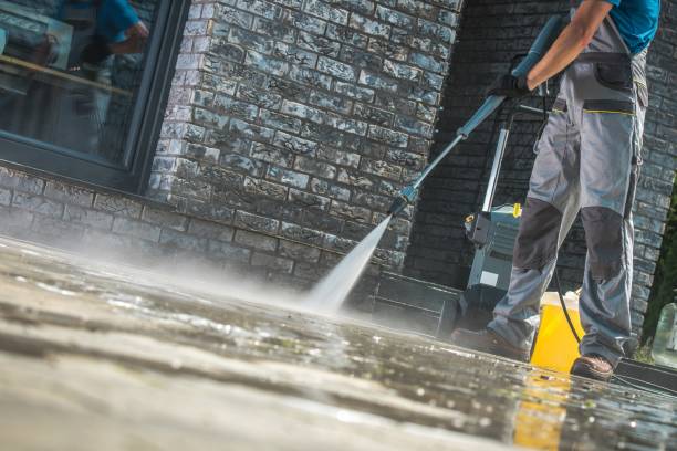 Best Fence Cleaning and Maintenance in Shelbyvle, IL