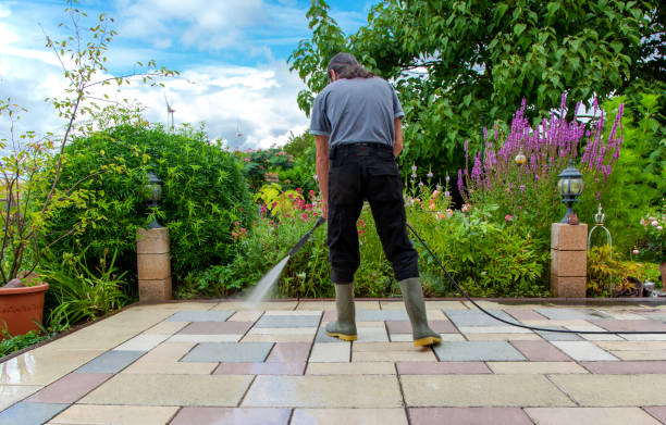 Best Driveway Cleaning and Restoration in Shelbyvle, IL