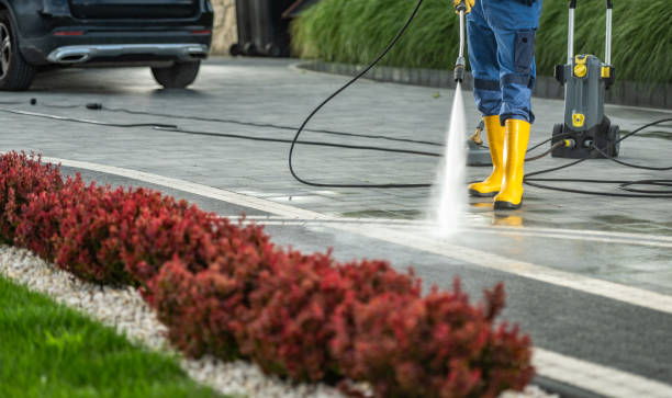 Best Building Exterior Pressure Washing in Shelbyvle, IL